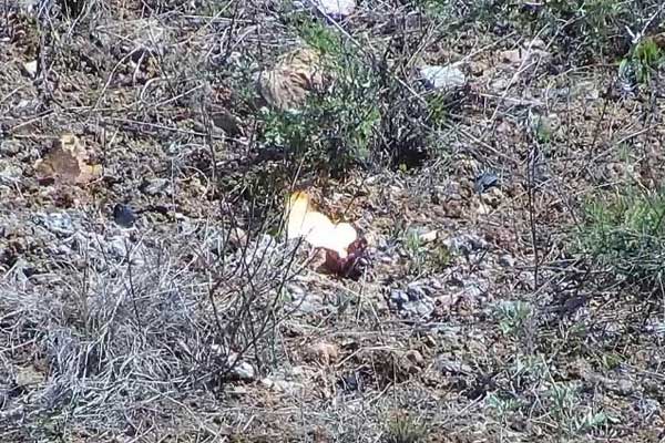 遼寧旅順某地手雷激光銷毀